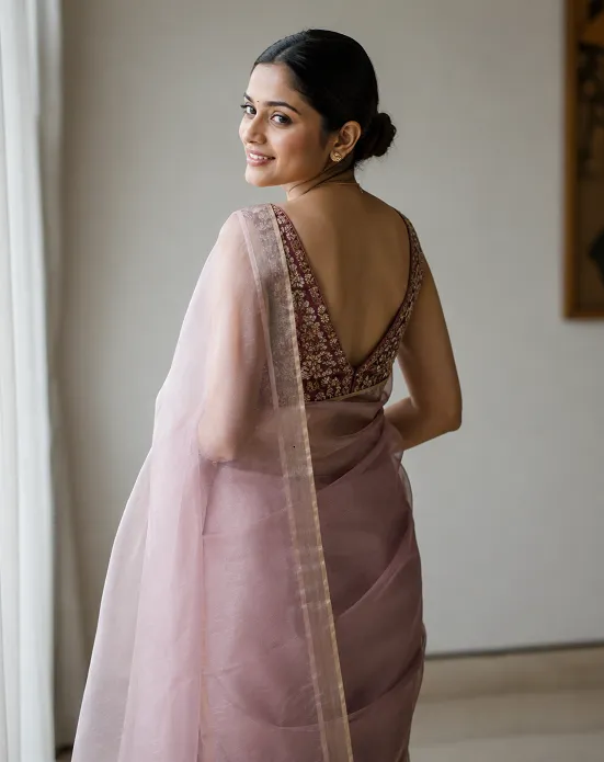 organza saree paired with embroidered back-neck blouse design