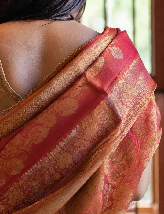 Close up of a woman's shoulder draped in a heavy silk saree pallu with an intricate gold zari border, highlighting the rich fabric texture and elegant folds.